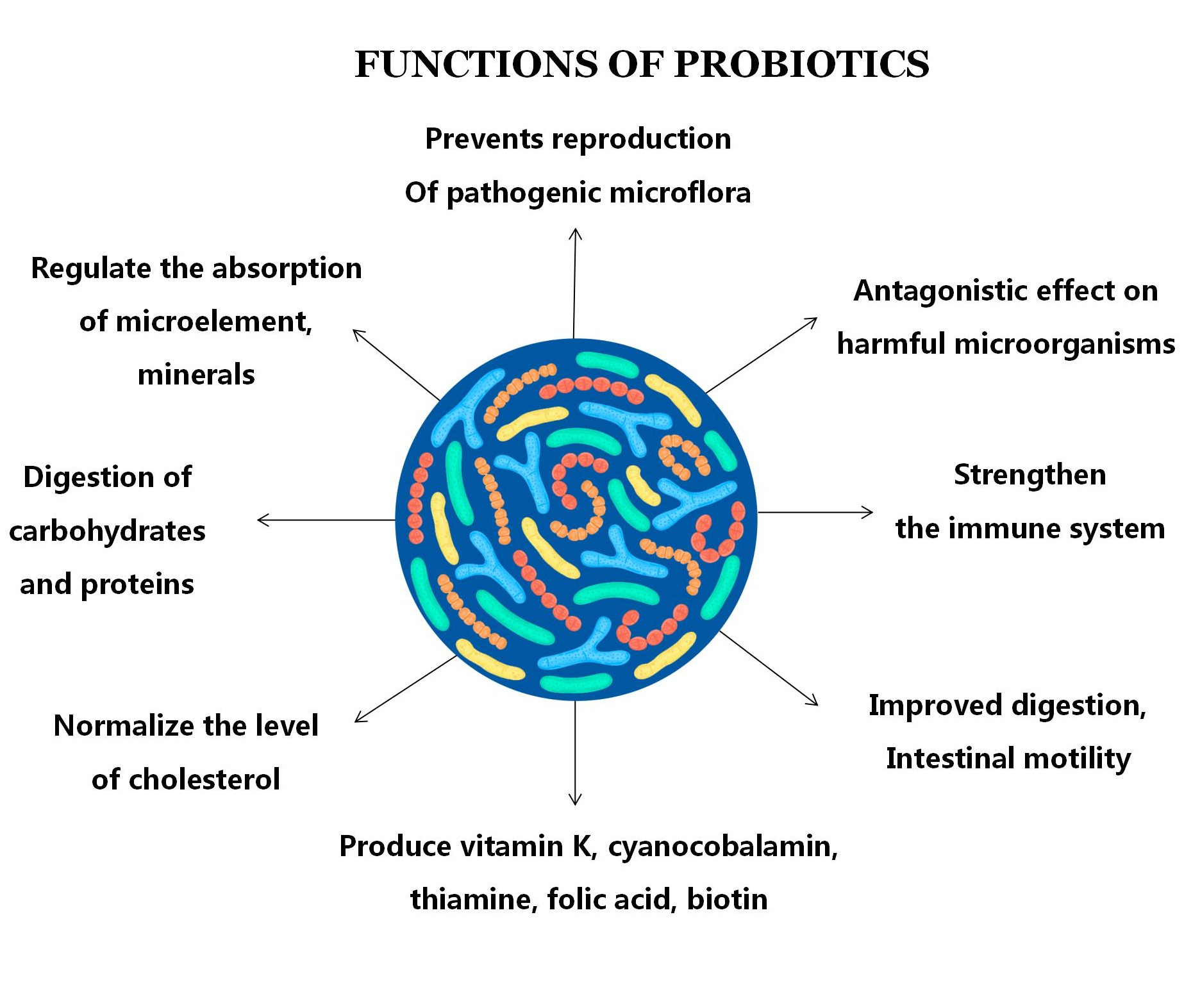 Probióticos de grado alimenticio probiótico polvo a granel alimentos lactobacillus probióticos polvo bifidobacterium lactis