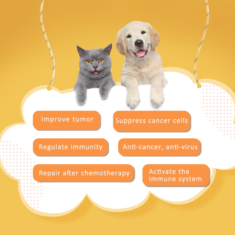 Grado de la alimentación Mejorar tumor multistrain probióticos probióticos Polvo para mascotas
